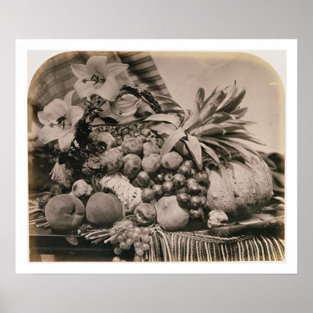 Póster Still Life with Fruit, 1860 (foto de sepia) (Frente)
