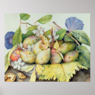 Póster Still life with Plums, Walnuts and Jasmine (w/c on