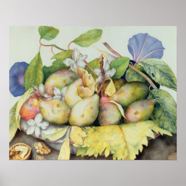 Póster Still life with Plums, Walnuts and Jasmine (w/c on (Frente)