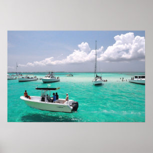 Póster Stingray City Grand Cayman Islands Poster