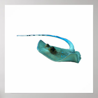 Póster Stingray - Diseño abstracto - Recortado de una fot