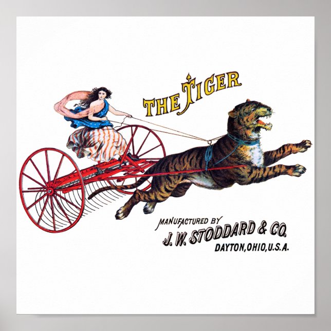 Póster Stoddard Tiger (Frente)
