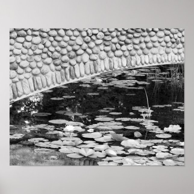 Póster Stone Bridge Lily Pond Black White Print (Frente)