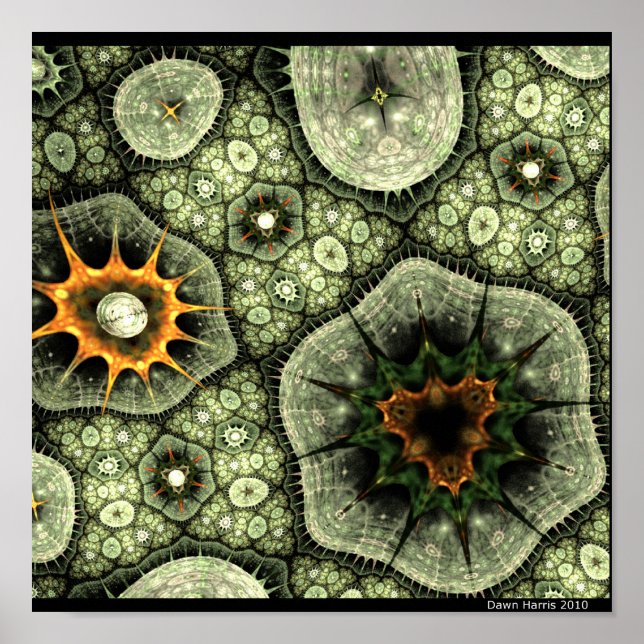 Póster Stone Lichen (Frente)