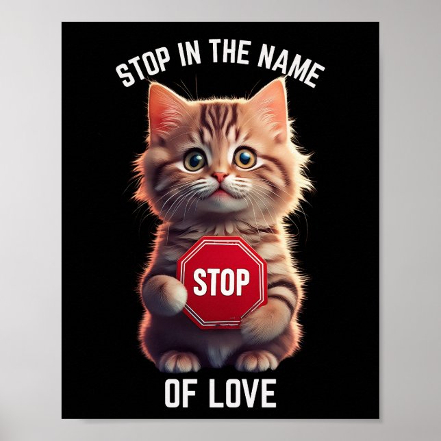 Póster Stop In the Name of Love (Frente)