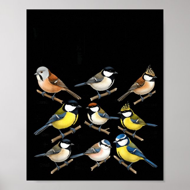 Póster Stop Staring At My Funny Birdwatching Birds Lover  (Frente)
