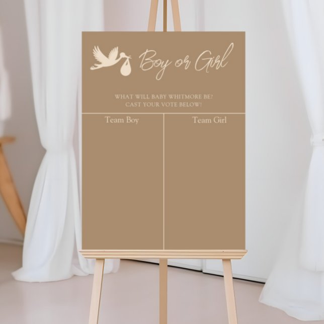 Póster Stork Baby Delivery Gender Reveal Prediction (Subido por el creador)