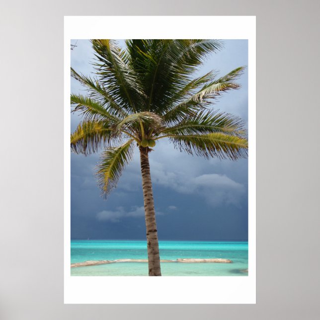 Póster Stormy Paradise (Frente)