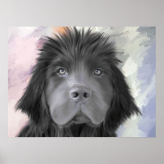 Póster Stormy, Terranova