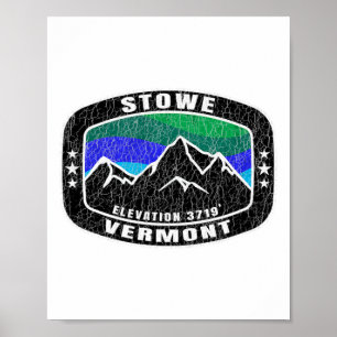 Póster Stowe Vermont T Shirt Trastorno del Esquí Tee Ski