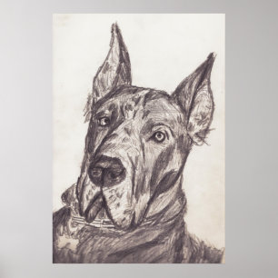 Póster str del pharoah sk3