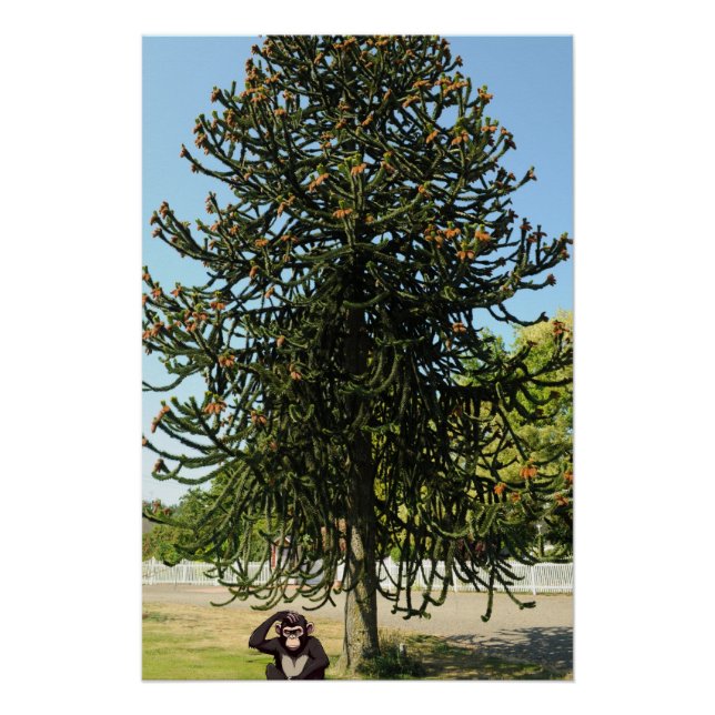 Póster Strange enough to puzzle a monkey. (Anverso)