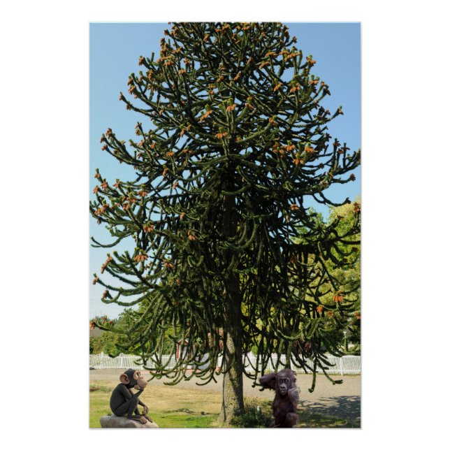 Póster Strange enough to puzzle a monkey. (Anverso)