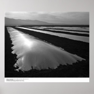 Póster Strawberry Fields con las cubiertas plásticas de