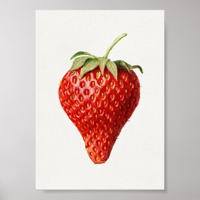 Póster Strawberry Vintage Art (Frente)