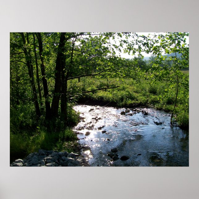 Póster Stream en Cades Cove (Frente)
