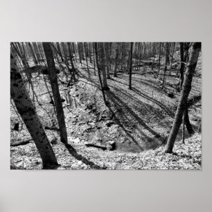 Póster Stream en Highbanks Metropark (blanco/negro)