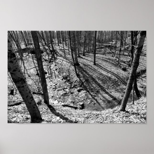Póster Stream en Highbanks Metropark (blanco/negro) (Frente)