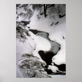 Póster Stream en invierno