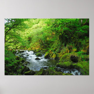 Póster Stream en Springtime