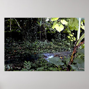Póster Streams tropicales