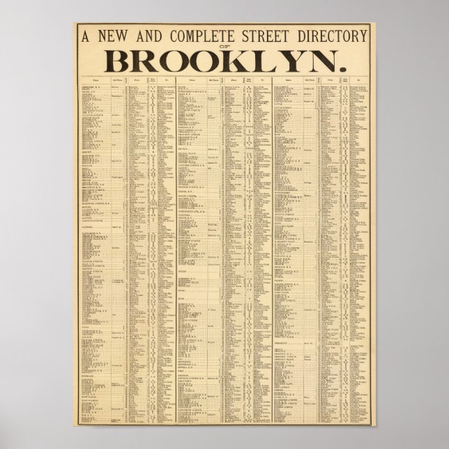Póster Street directory of Brooklyn 1st page (Frente)