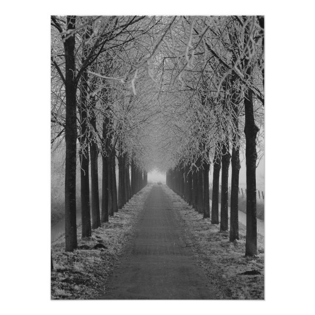 Póster Street winter (Anverso)