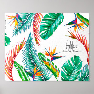 Póster Strelitzia - Pájaro Del Paraíso