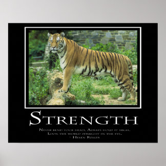 Póster Strength
