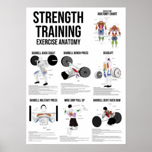 Póster Strength Training Exercise - Muscle Anatomy Chart