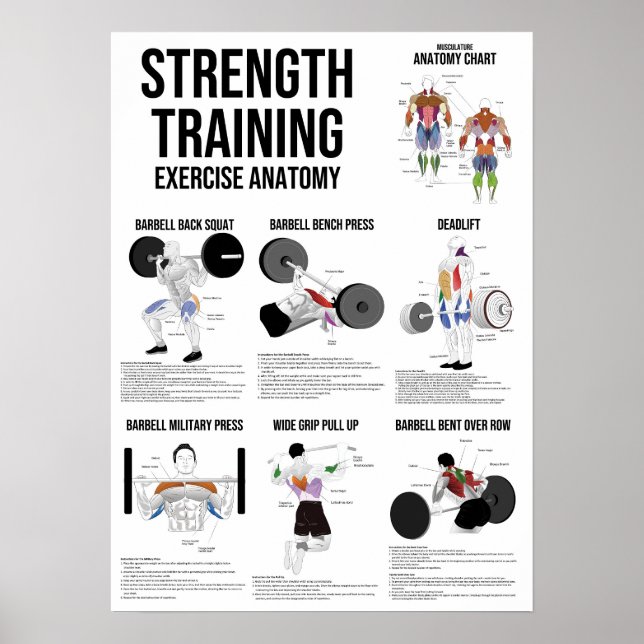 Póster Strength Training Exercise - Muscle Anatomy Chart (Frente)
