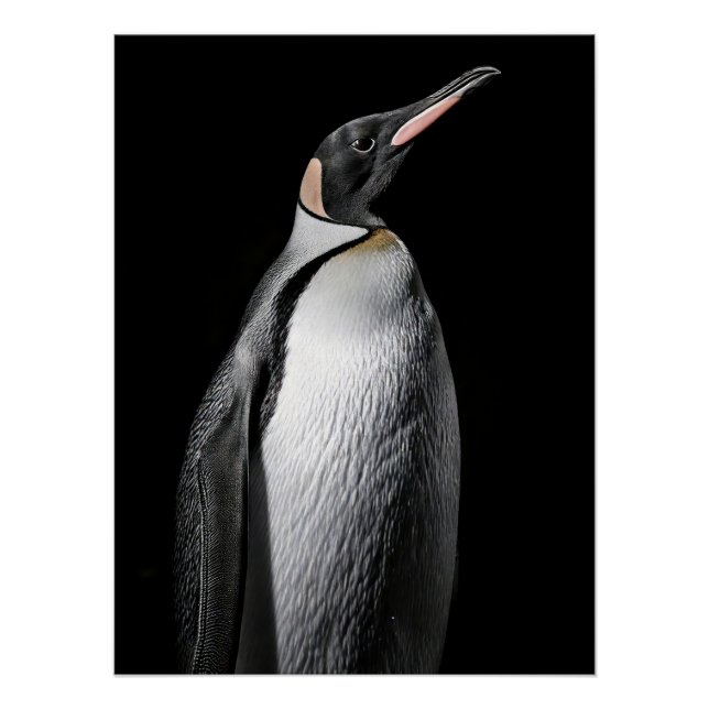 Póster  Striking High Contrast Emperor Penguin Fine Art  (Anverso)
