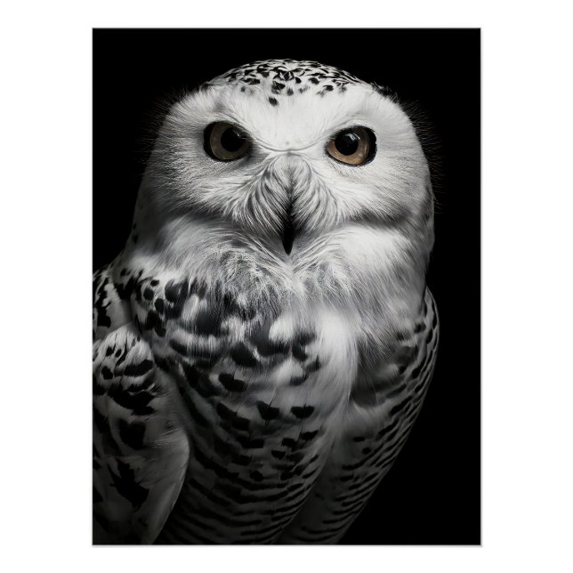 Póster Striking Snowy Owl Fine Art Print | High Contrast (Anverso)