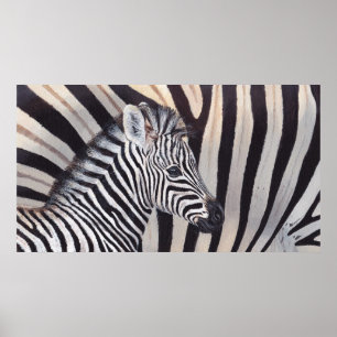 Póster Stripes Zebra Baby and Mom poster all sizes