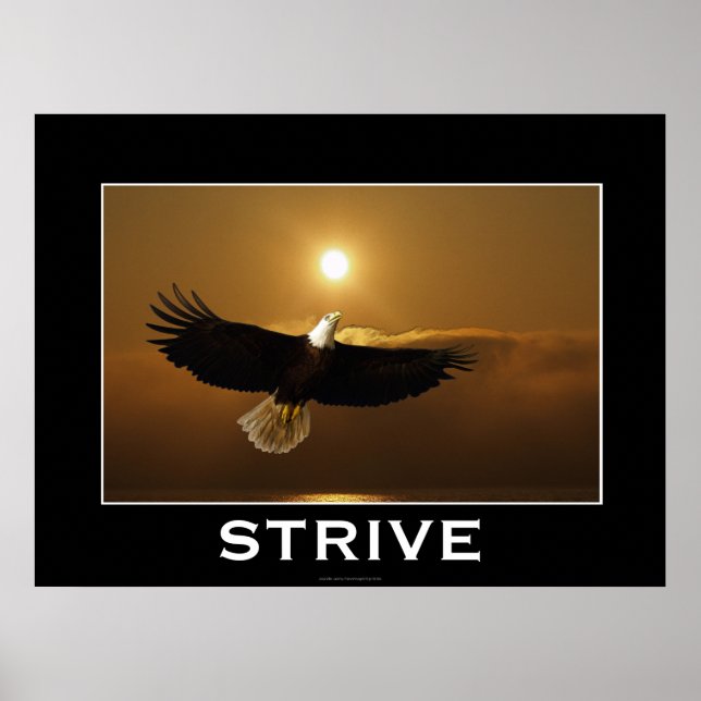 Póster STRIVE ~ Poster motivacional del águila calva que  (Frente)