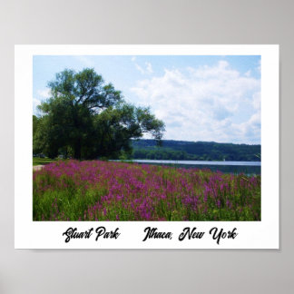 Póster STUART PARK, ITHACA, poster DE NUEVA YORK