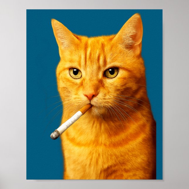 Póster Stud Cool Funny Cat Meme Smoking Cat Cigarette  (Frente)