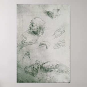 Póster Studies for the Figure of Bramante