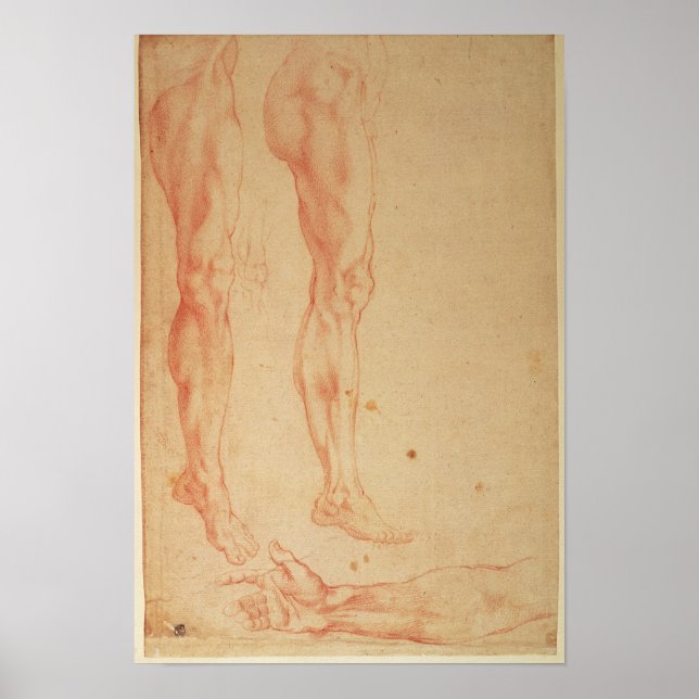 Póster Studies of Legs and Arms (Frente)