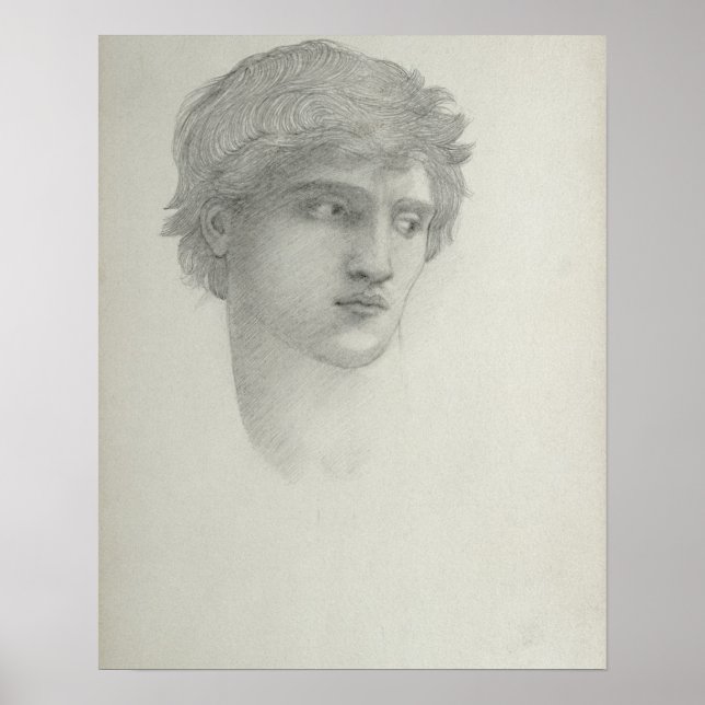 Póster Study for the Head of Perseus (pencil on paper) (Frente)