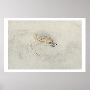 Póster Study of a crouching Fox, facing right verso: fain