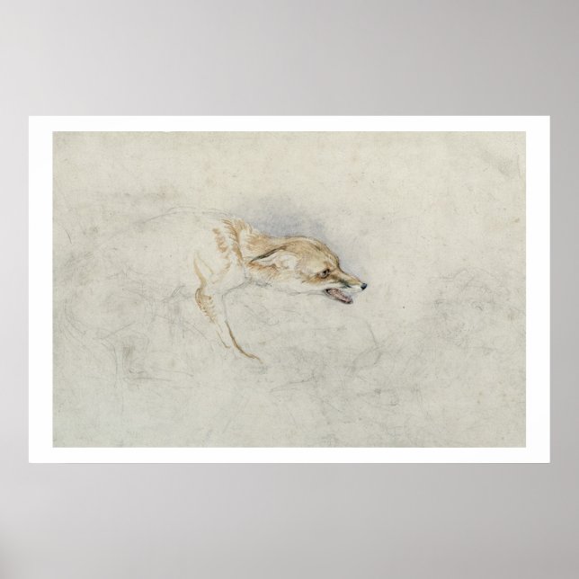 Póster Study of a crouching Fox, facing right verso: fain (Frente)