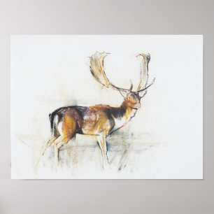Póster Study of a Stag
