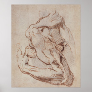 Póster Study of an Arm  Inv.1859/5/14/819