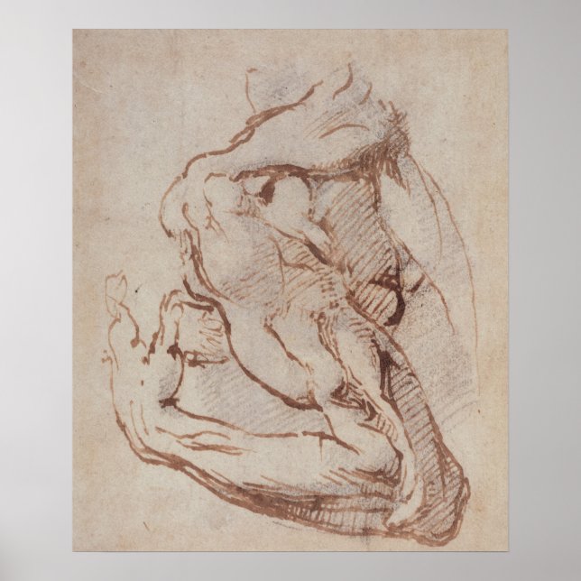 Póster Study of an Arm  Inv.1859/5/14/819 (Frente)