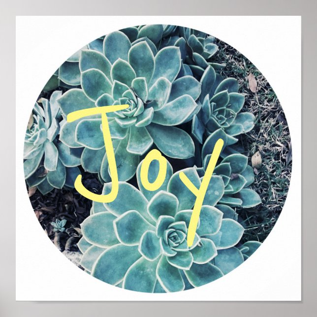 Póster Stylish Pale Green Cactus Succulent Joy Poster (Frente)