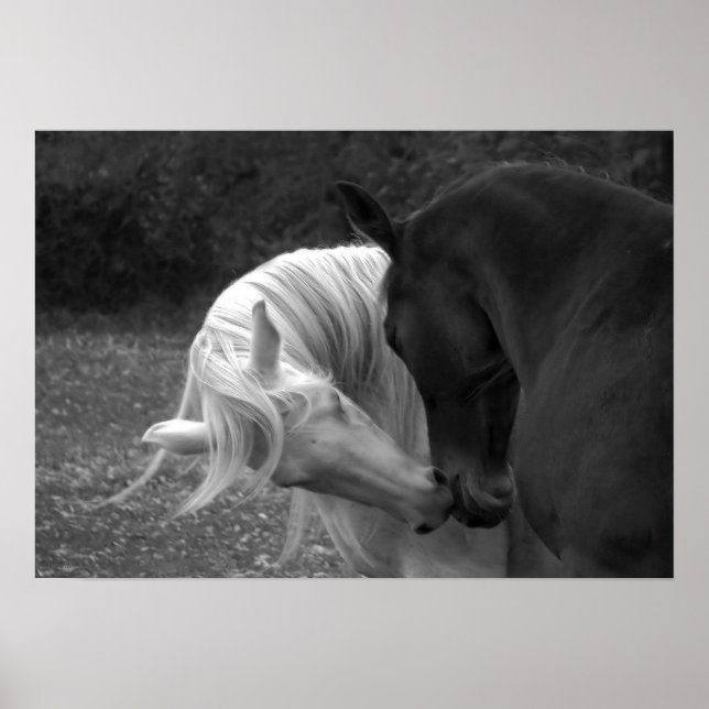 Póster Su Amor (Frente)