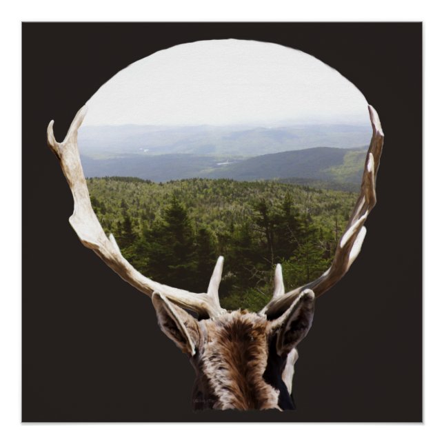 Póster Su dominio (Anverso)