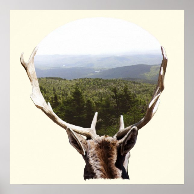 Póster Su dominio (Frente)