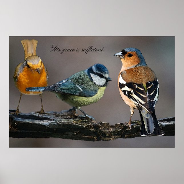 Póster Su gracia es suficiente. (Frente)